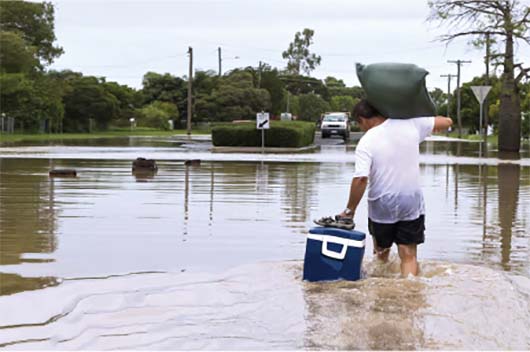 Blue blood AI Supports Florida Residents After Hurricane Michael